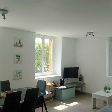 Les Cactus Apartment Saint-Etienne  Ngoại thất bức ảnh