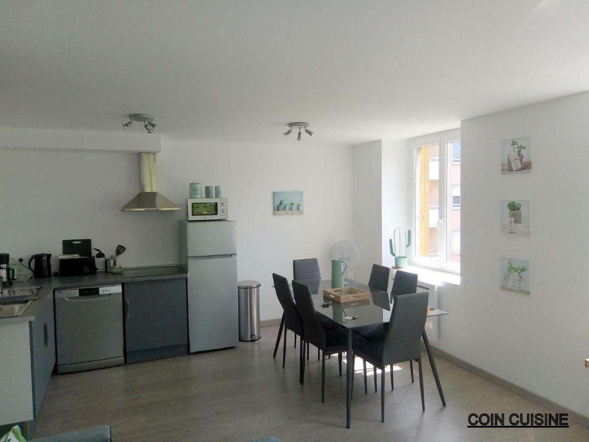 Les Cactus Apartment Saint-Etienne  Ngoại thất bức ảnh