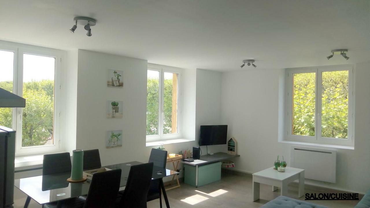 Les Cactus Apartment Saint-Etienne  Ngoại thất bức ảnh