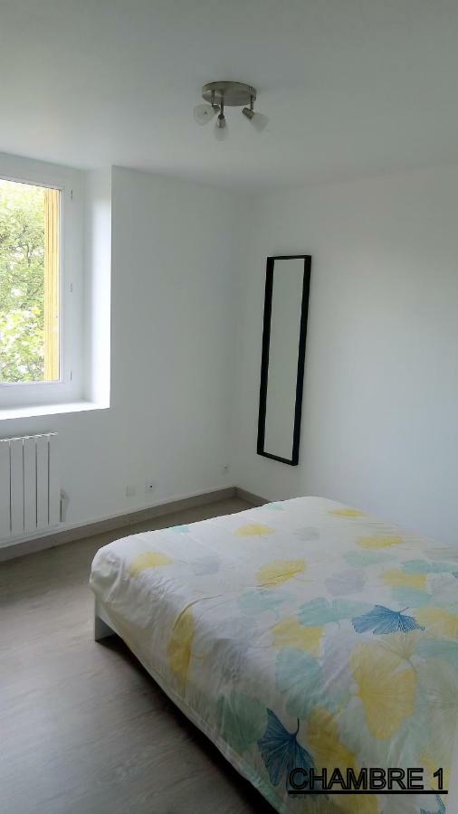 Les Cactus Apartment Saint-Etienne  Ngoại thất bức ảnh