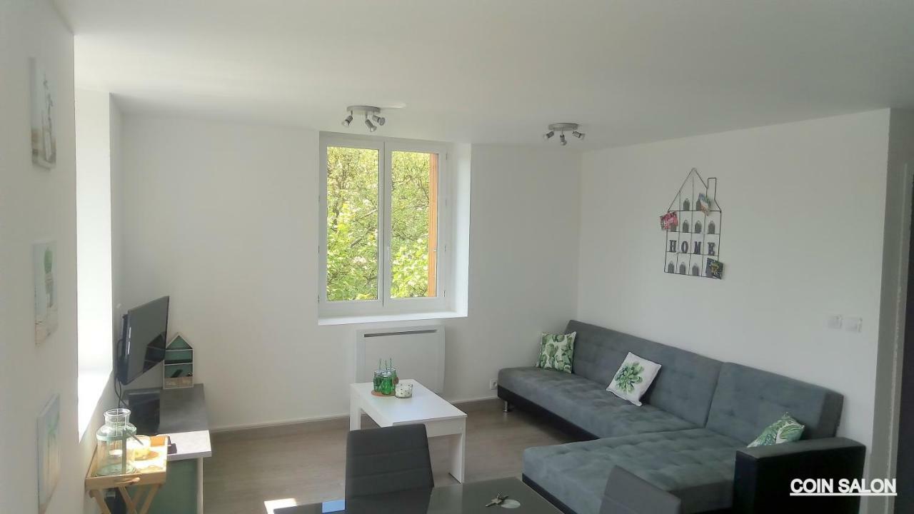Les Cactus Apartment Saint-Etienne  Ngoại thất bức ảnh