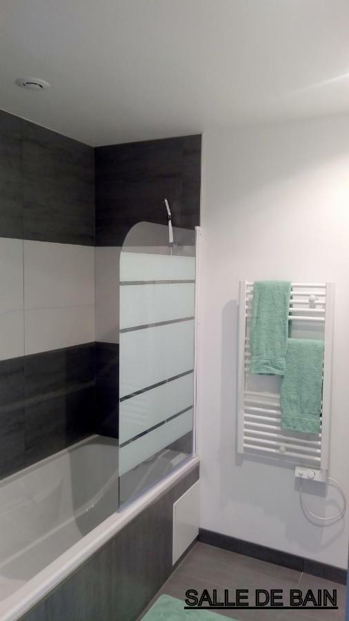 Les Cactus Apartment Saint-Etienne  Ngoại thất bức ảnh