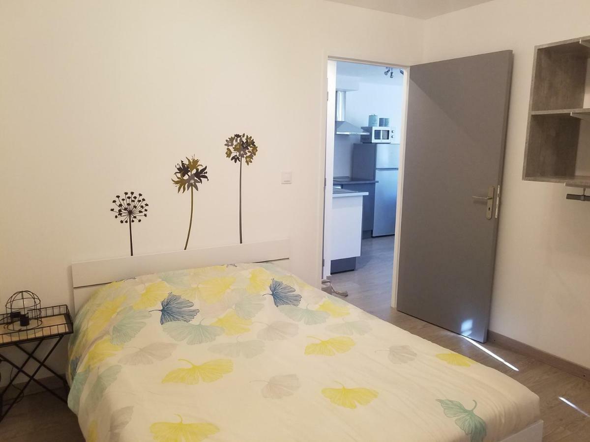Les Cactus Apartment Saint-Etienne  Ngoại thất bức ảnh