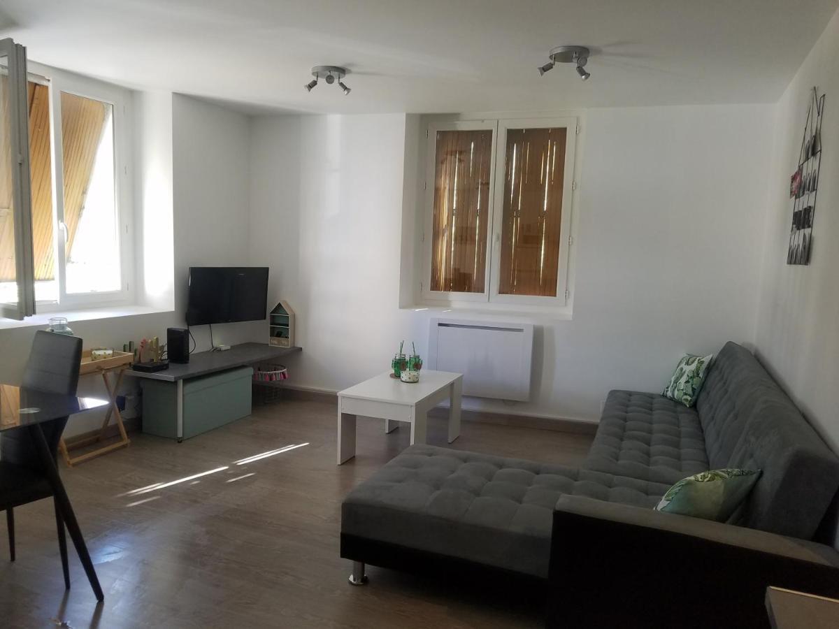 Les Cactus Apartment Saint-Etienne  Ngoại thất bức ảnh