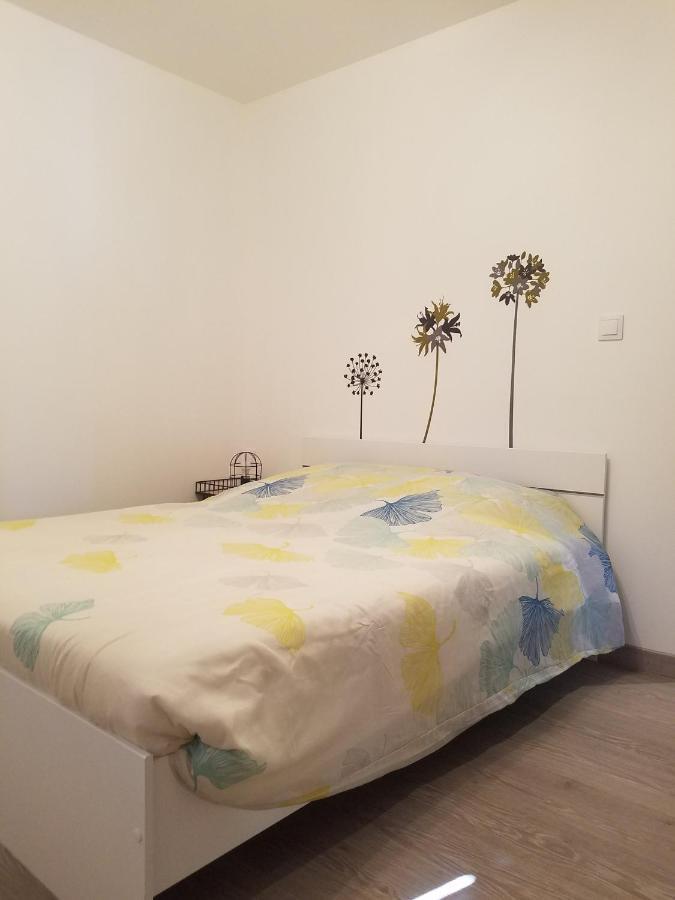 Les Cactus Apartment Saint-Etienne  Ngoại thất bức ảnh