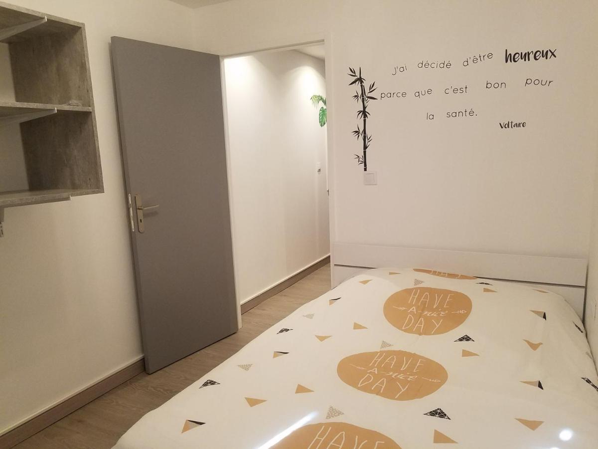 Les Cactus Apartment Saint-Etienne  Ngoại thất bức ảnh